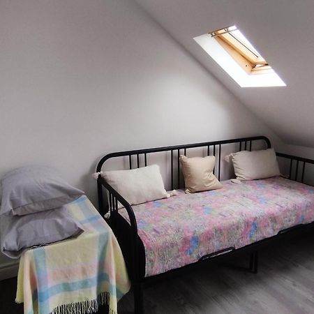 Belfast City Centre, Brilliant Light Apartment Zewnętrze zdjęcie